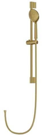 Lavita Orion Ensemble de douche avec barre en or brossé et pommeau de douche avec tuyau et support