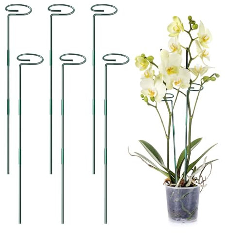 6 Stück 90 cm Pflanzenstütze Garten Pflanzenhalter Metall Rankhilfe Zimmerpflanzen Pflanzen Stütze Orchideenstäbe Blumenhalter Pflanzen Zubehör für Blumen Tomaten Lilien Pfingstrosen Rosen (B)