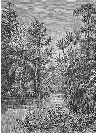 Papier peint panoramique Jungle 200 x 280cm Gris | Revêtement Mural, Tapisserie, Panneau Mural Décoratif | Pour salon, chambre, entrée Facile à poser et à enlever