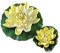 Hobby Seerose gelb - künstliche Teichpflanze - 30 cm