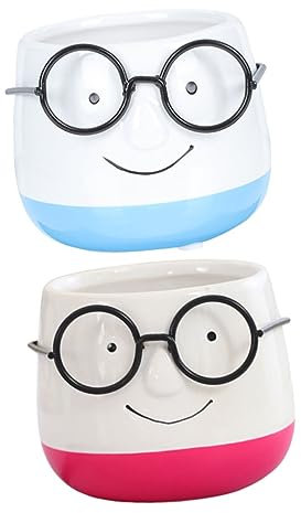 DIKACA Ensemble De Pots De Fleurs en Céramique Style Insolite pour Bureau Salon