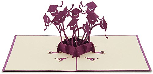 Favour Pop Up Grußkarte Doktorhüte 3D-Kunstwerk Lasercut Hochwertiges Papier Fantastische Glückwünsche Geschenkideen