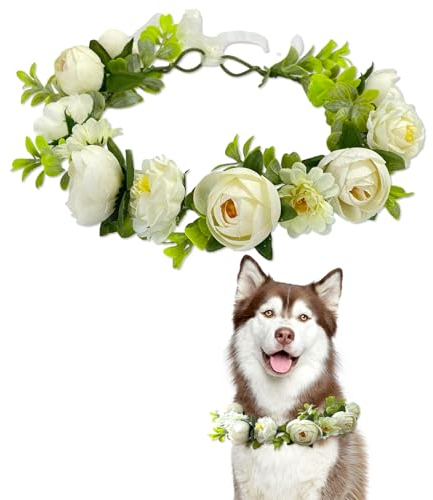 Hunde-Hochzeitshalsband, Größe