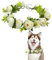 Hunde-Hochzeitshalsband, Größe