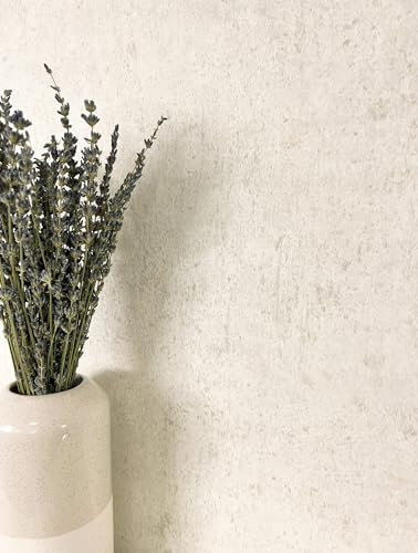 Newroom Tapete Creme Vliestapete Beton - Universal Modern Weiß Unifarbe Struktur Einfarbig Industrial Betonoptik Betonwand inkl. Tapezier-Ratgeber