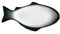 Alipis Plato De Pescado Creativo Plato Con Forma De Plato Para Servir Bandeja Para Guardar Bocadillos Platos Para Hornear Pescado Sartén De Pescado Plato Pequeño De Porcelana
