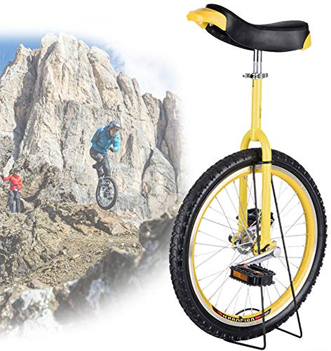 Einrad Selbstbalance-Heimtrainer für Fitness und Outdoor-Sport, 24 Zoll
