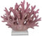 MichaelNoll Koralle auf Acrylglas Deko Statue Polyresin Maritim 19,3x8,5x15,5 cm
