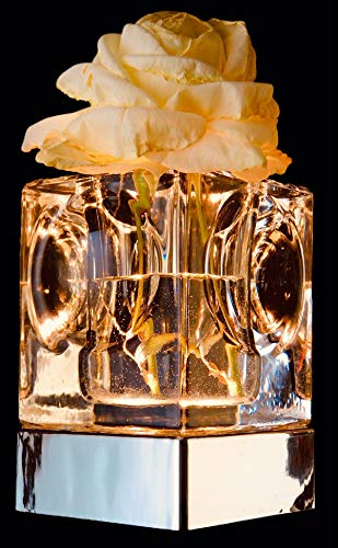 LED Designer Tischleuchte KRISTALL STAR, echte Leuchtvase, induktiv aufladbar mit Ladeplattform und Fernbedienung, schlagfestes K9 Kristallglas