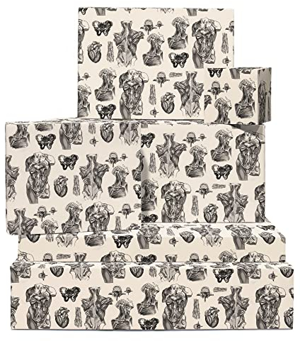 Öko-Geschenkpapier – 6 Bögen Geschenkpapier und Anhänger – Anatomie des Menschen – für Männer Frauen – Geschenk für Studenten – Wissenschaft, Illustration, Körper – von Central 23