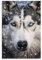FOCCAR Blue Eyes Husky Wandkunstdrucke, cooler Hund, zeitgenössische Tierbilder auf Leinwand, Poster, Wanddekoration für Schlafzimmer, Heimdekorationen