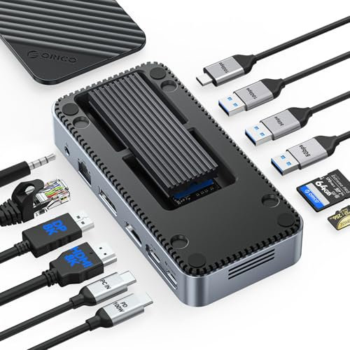 ORICO 12-en-1 Hub USB C avec Boîtier SSD M.2, Station d'accueil USB C sans Outil avec Intégré, HDMI, DP, Gigabit Ethernet, 100W PD, SD/TF, Audio/Mic, 10Gbps USB A & USB C & 2 * 5Gbps USB A-M2P11