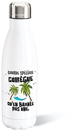 Luigi Collection Bouteille d’Eau 500ml Aluminium Collègue Gourde Réutilisable Ecologique. Idée Cadeau Original Humour Homme Femme Retraite Mutation Pot Départ Sport Voyage Bureau Anniversaire Noël
