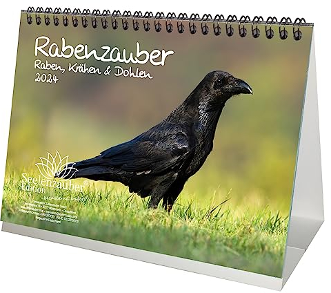 Rabenzauber Raben, Krähen und Dohlen DIN A5 Tischkalender Kalender für 2024- Geschenkset Inhalt: 1x Kalender, 1x Weihnachts- und 1x Grußkarte (insgesamt 3 Teile)