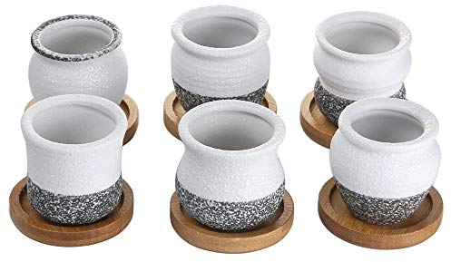 Omenluck 6 Stück Keramik-Blumentöpfe Container grün klein dekorativ Kinderzimmer Setzling Hydrokulturen Outdoor Garten