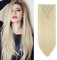 Clip in Extensions 8 Teile Set 17 Clips Glatt Bleichblond Haarverlängerung Haarteil Voluminös Synthetische Haarverlängerung, 60cm