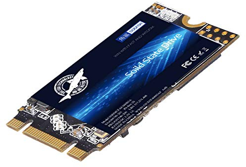 Dogfish SSD SATA M.2 2242 60GB Ngff Internal Solid State Drive High Performance Hard Drive for Desktop Laptop SATA III 6Gb/s Includes SSD 120GB 240GB 250GB 480GB 500GB (60GB, M.2 2242)
