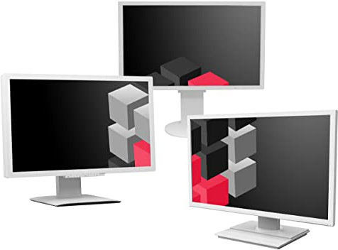 DN 24 Zoll Business Computer Monitor, Desktop Gaming Monitor, Full HD (VGA - DVI - VESA), PC Bildschirm, Weiß/Grau (Generalüberholt)