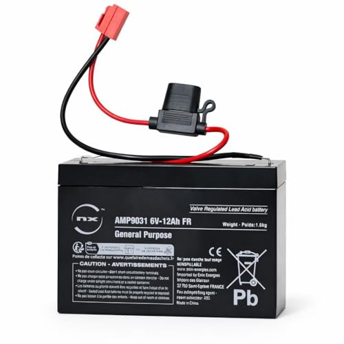 6V 12AH Rechargeable Lead Acid Battery, 6 Volt, for Kids Ride on Cars