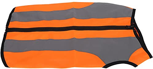 Leuchtende Haustier-Sicherheitsweste, Leicht, mit Reflektierenden Streifen und Reißverschluss, Perfekt Nächtliche Outdoor-Aktivitäten von Hunden (XL)