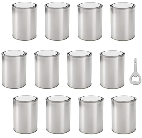 12 Stück leere Farbdosen mit Deckel – 0,5 l leere Blechdosen für Farbe | Luftdichte, lackierte, ungefütterte Vorratsbehälter | Leere Mehrzweck-Metalldosen für Kunsthandwerk, Projekte, Malerei, Garage