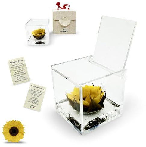 La Rosa dei Sogni Girasole stabilizzato in Cubo Trasparente - Confezione Regalo Elegante - Durata 5-7 Anni - Made in Italy (6x6 cm)