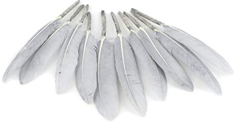 10 Indianerfedern ca. 10-15cm (hell silber/grau 012H) // Dekofedern Bastelfedern Masken Federn Schmuckfedern Vogelfedern