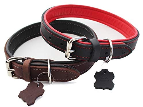 Activity4Dogs Luxus Hundehalsband aus Leder | für (mittel) große Hunde | 2,5 cm breit | gepolstert | 5-Fach verstellbar | Made in Germany | Echt-Leder Größe M1 schwarz-rot