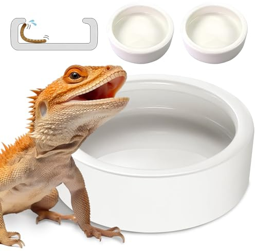 Worm Dish - Large 2 Pcs Reptile Food & Water Bowl for Lizard, Gecko, Chameleon, Hermit Crab, Bearded Dragon & More - Ceramic Anti-Escape Mini Reptile Feeder