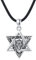 YEESIA Wolf Halskette Sterling Silber Davidstern Wolf Kopf Halskette Hexagramm Anhänger Jüdisch Israel Schmuck für Männer Frauen