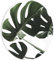HEALANCY Bilder Monstera - KOMPLETT AUFHÄNGFERTIG - Runde Wandbilder Wohnzimmer - Deko Modern - Schlafzimmer - Room Decoration - Kunstdruck Wanddeko - Natur Tropische Pflanzen