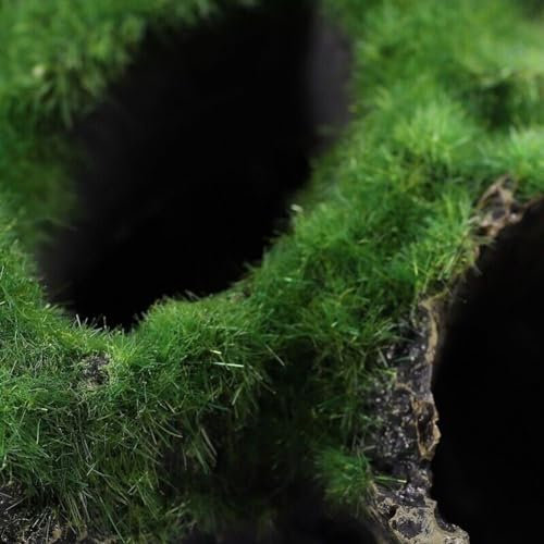 Beautifully Crafted Moss Tree House Cave, Realistic and Eye Catching Aquarium Decor (A)
