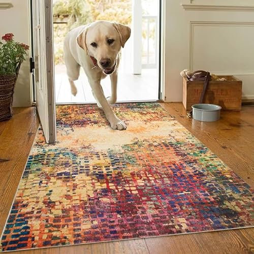 AMEHA Door Mat Indoor 80 x 150 cm Vintage Entrance Floor Mats Non Slip Washable Doormats Outside Dirt Trapper Heavy Duty Doormat Low Profile Super Soft Front Door Mat (Vibrant)