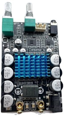 Eighosee Carte Amplificatrice pour Caisson de Basses TPA3116, Mono Amplificateur de Son 100W, Alimentation DC9-24V,