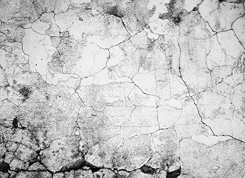 Livingwalls Photographic Wallpaper Design Walls 118768 Non-Woven Wallpaper in Concrete Look in Grey, Black, White 350 x 255 cm XXL Wall Mural