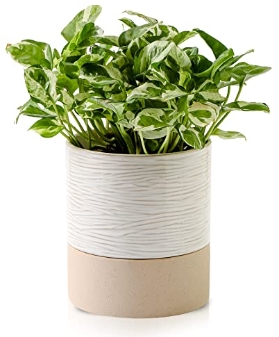 Nihow Selbstwässernder Blumentopf: 15,2 cm Keramik-Pflanzgefäß mit Drainageloch & Wasserspeicher Plus für Innen- und Außenpflanzen – zylindrischer runder Blumentopf für Sukkulenten/Kräuter/Veilchen –