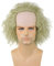 bi bi hou Herren Beetle J'uice Michael Cosplay Perücke Grün/Grau Gelockte B'eetleJuice Verkleidung Michael Cosplay Wig Weihnachten Halloween Karneval Party Bühnenauftritt Kostüm Zubehör Perücke