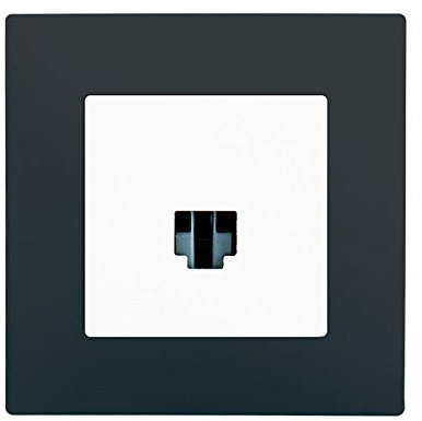Prise RJ45 Blanc Delta Viva + Plaque Anthracite