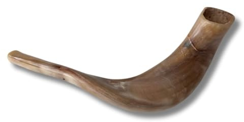 Authentic & Kosher Polished Ram's Horn Shofar from Israel (12 - 14)