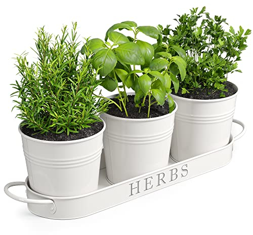 Barnyard Designs Set di vasi per erbe aromatiche con vassoio per interni o esterni, vasi decorativi in metallo bianco per piante grasse in vaso per davanzale della cucina