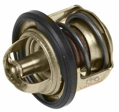 82831R5 Thermostat Wasser