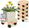 Oramics 6 Stück Pflanzenroller Rund aus Massivholz – Ø30 x 8 cm bis 120 KG belastbar – Rollbrett für Pflanzen, Blumentöpfe und Blumenkübel – Blumentopf Untersetzer mit 4 Rollen