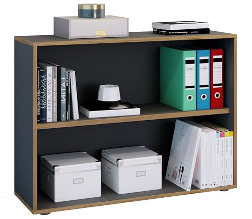 VCM Holzregal stehend | platzsparender Aktenschrank | Maße ca. H. 74 x B. 100 x T. 33 cm | Elegantes Regal | Büroregal – Salia 2fach B. 100 cm