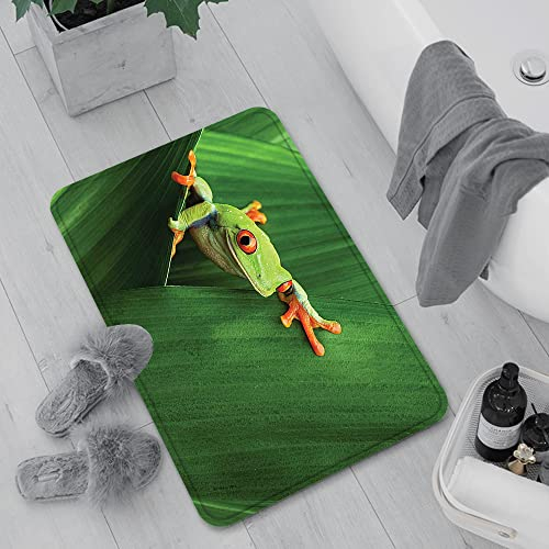 Badematte rutschfest, Badteppich für Badezimmer,Tierset, süßer rotäugiger Frosch zwischen exotischen Makro großen Blättern wilde Natur ,Waschbar Badezimmerteppich für Wohnzimmer Schlafzimmer 60x100 cm