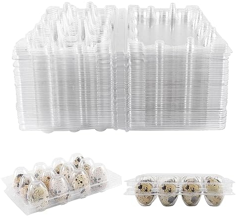 Sophisticate 35 cajas para huevos de codorniz, hueveras, codornices, 12 rejillas de PVC, soporte para huevos, transparente con tapa, caja de almacenamiento para nevera