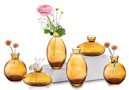 EylKoi Kleine Vasen füR Tischdeko Glas 2 Sätze(6 Stück) Amberg Mini Vase Vintage Handmade Hydroponic Glasvase Blumenvase Modern Set Fuer Hochzeit Tischdeko, Zuhause Wohnzimmer Blumen Rose