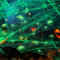K KUMEED Halloween Leuchtdeko Spinnennetz 200g mit 50 Stück Leuchtende Spinnen, Glow in The Dark Halloween Leuchtende Spinnen Halloween Beleuchtetes Spinnennetz für Halloweenparty, Garden, Tischdeko