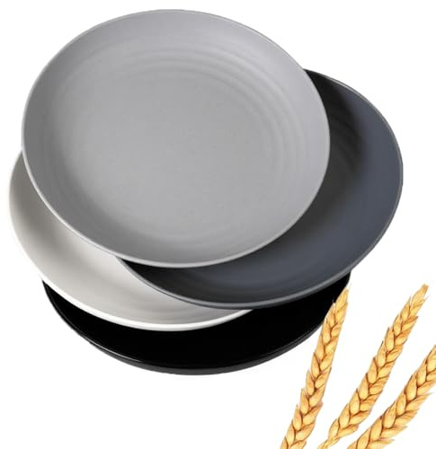 Large Deep Plastic Plates, Pack of 4, Lightweight Unbreakable Deep Dinner Plates, 9 Inch Reusable Plastic Plates and Dumpling Bowl, Microwave Safe, BPA Free, Dishwasher Safe (Mutil Colour)