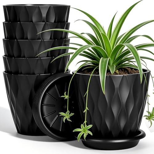 VINATO Juego de 6 Macetas con Plato, Negro, 10cm - Maceteros de Plástico PP para Interior, Decorativas para Suculentas, Cactus y Hierbas