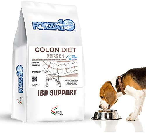 Forza10 Intestinal Colon Phase I für Hunden mit Magenschleimhautentzündung, 1er Pack (1 x 10 kg)